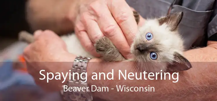 Spaying and Neutering Beaver Dam - Wisconsin