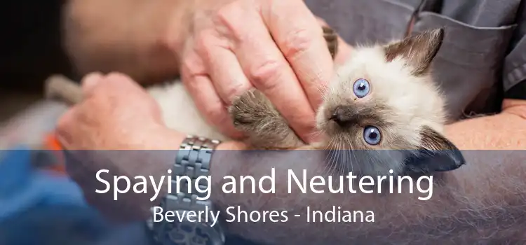 Spaying and Neutering Beverly Shores - Indiana