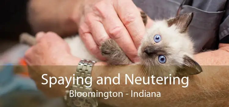 Spaying and Neutering Bloomington - Indiana