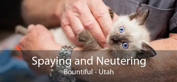Spaying and Neutering Bountiful - Utah