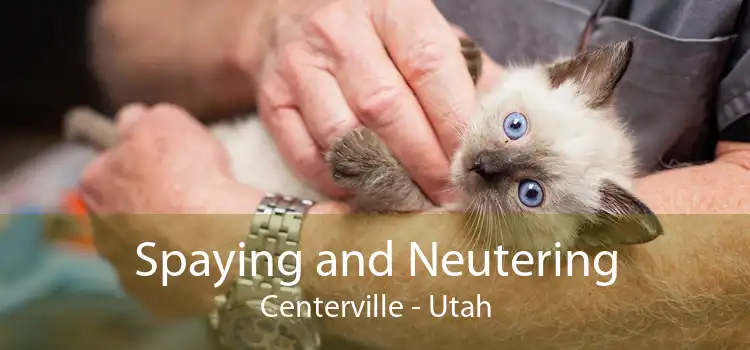 Spaying and Neutering Centerville - Utah