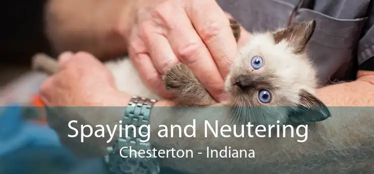 Spaying and Neutering Chesterton - Indiana