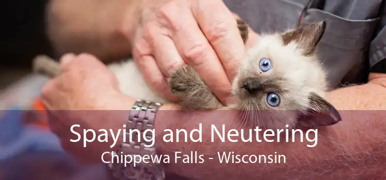 Spaying and Neutering Chippewa Falls - Wisconsin