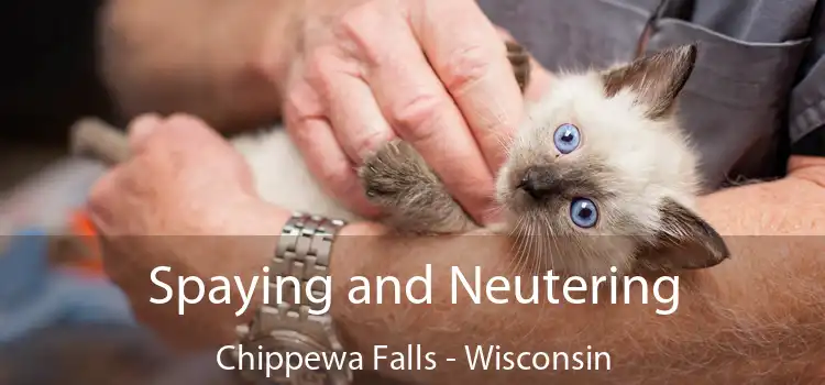 Spaying and Neutering Chippewa Falls - Wisconsin