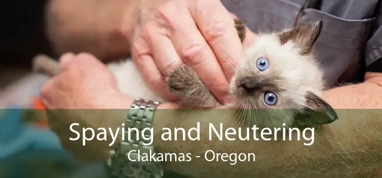 Spaying and Neutering Clakamas - Oregon