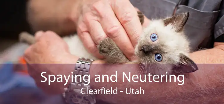 Spaying and Neutering Clearfield - Utah