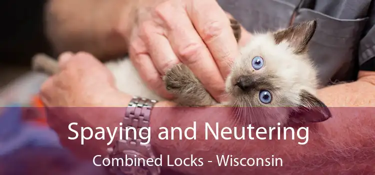 Spaying and Neutering Combined Locks - Wisconsin