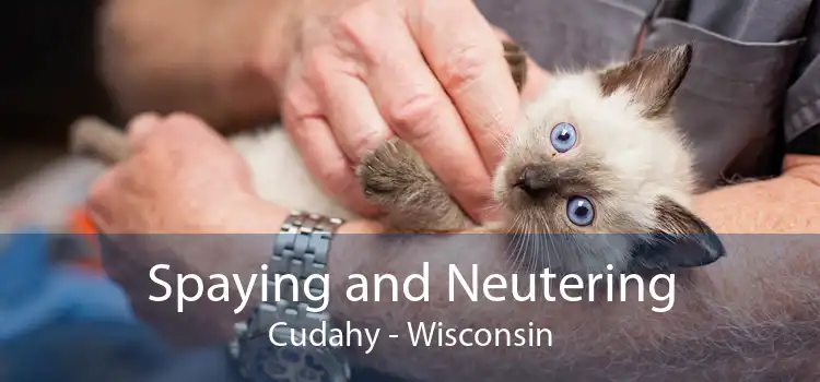 Spaying and Neutering Cudahy - Wisconsin