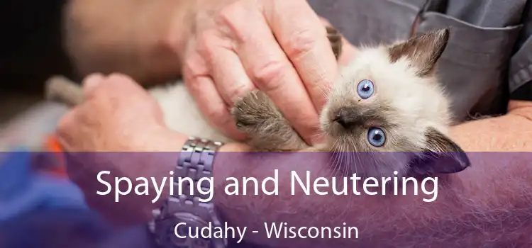 Spaying and Neutering Cudahy - Wisconsin