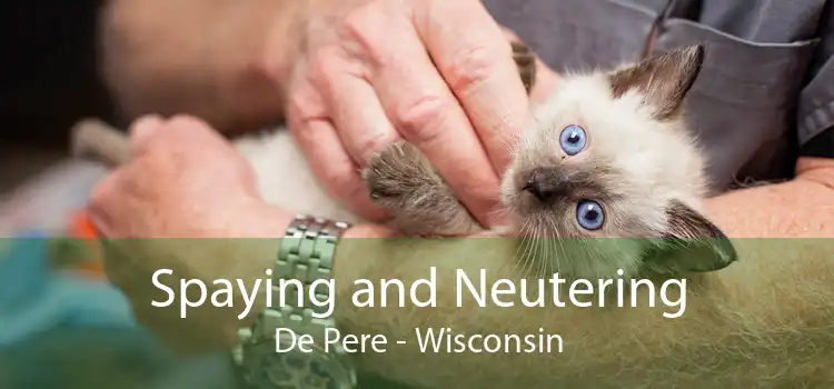 Spaying and Neutering De Pere - Wisconsin