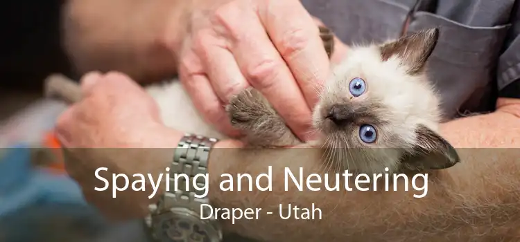 Spaying and Neutering Draper - Utah