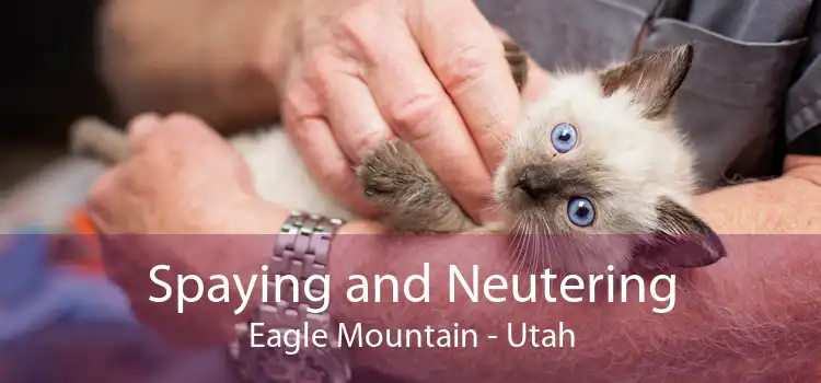 Spaying and Neutering Eagle Mountain - Utah