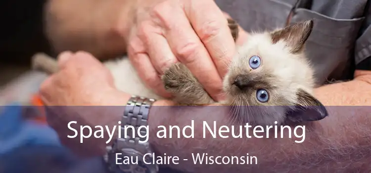 Spaying and Neutering Eau Claire - Wisconsin