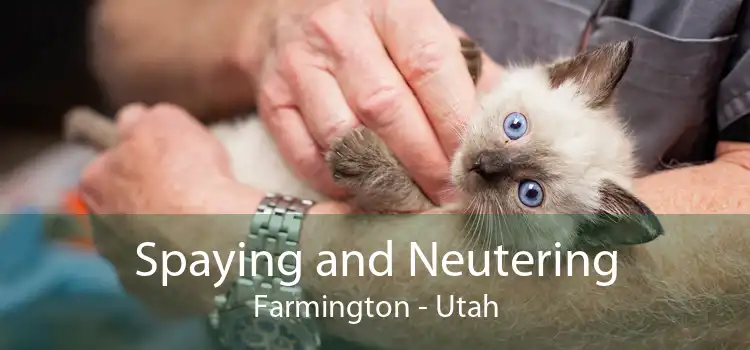 Spaying and Neutering Farmington - Utah