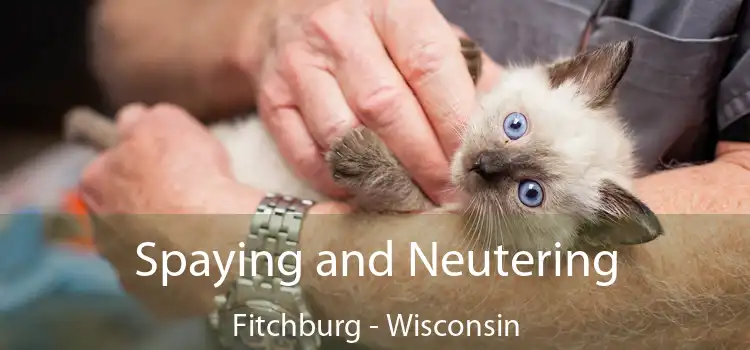 Spaying and Neutering Fitchburg - Wisconsin
