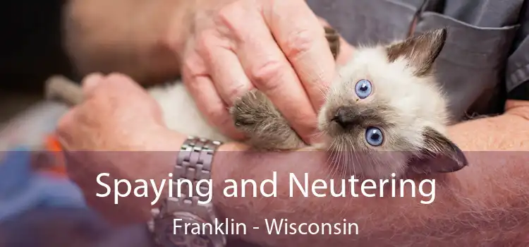 Spaying and Neutering Franklin - Wisconsin