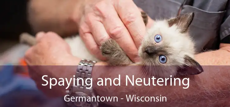 Spaying and Neutering Germantown - Wisconsin