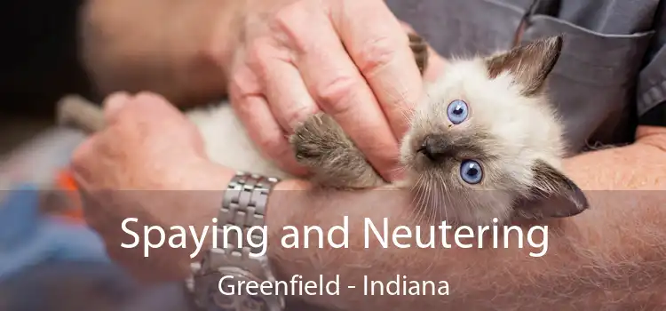 Spaying and Neutering Greenfield - Indiana