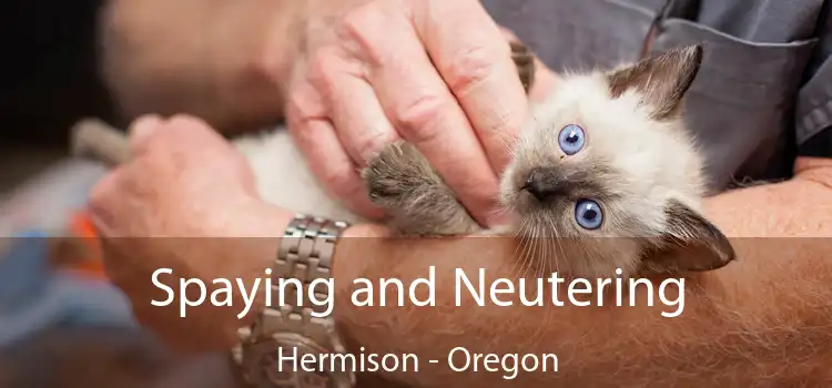 Spaying and Neutering Hermison - Oregon