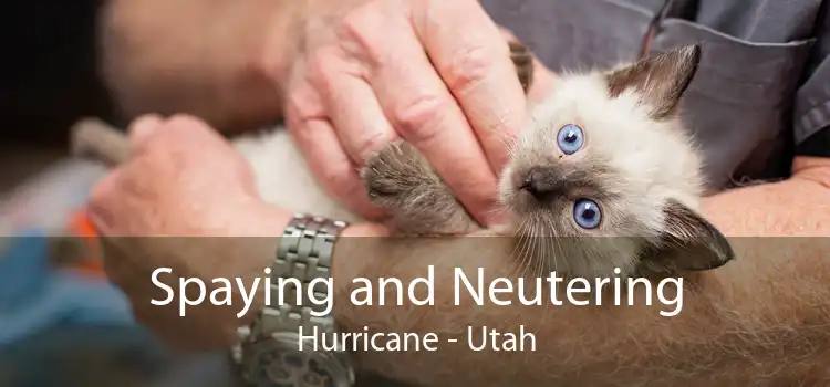 Spaying and Neutering Hurricane - Utah