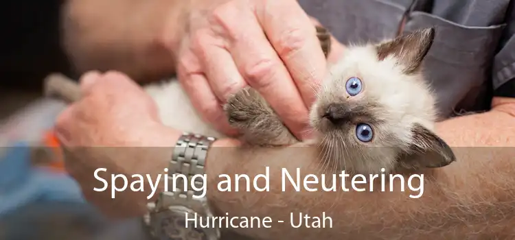 Spaying and Neutering Hurricane - Utah