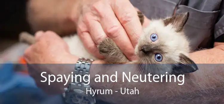 Spaying and Neutering Hyrum - Utah