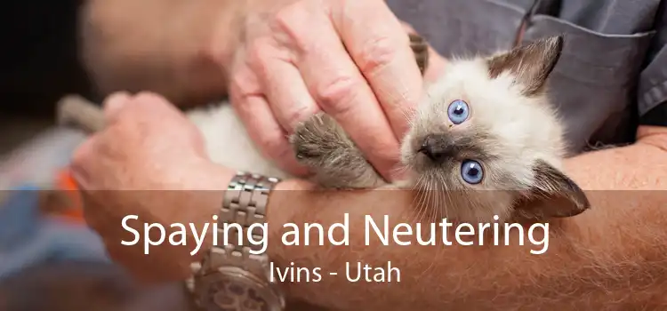 Spaying and Neutering Ivins - Utah