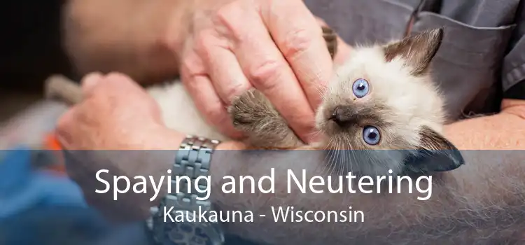 Spaying and Neutering Kaukauna - Wisconsin