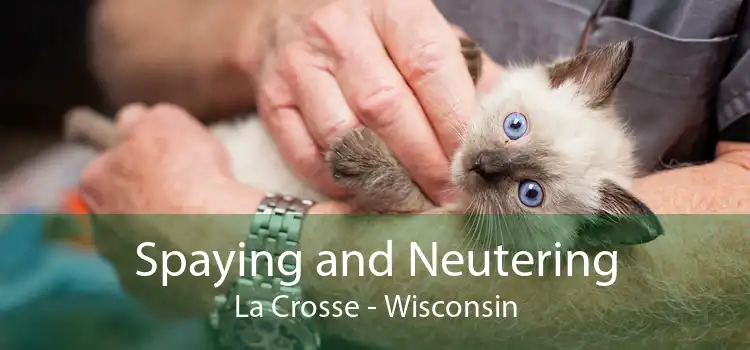 Spaying and Neutering La Crosse - Wisconsin