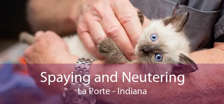 Spaying and Neutering La Porte - Indiana