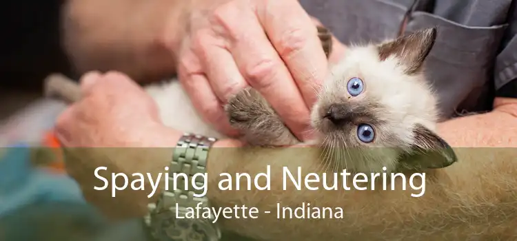 Spaying and Neutering Lafayette - Indiana