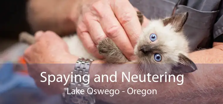 Spaying and Neutering Lake Oswego - Oregon