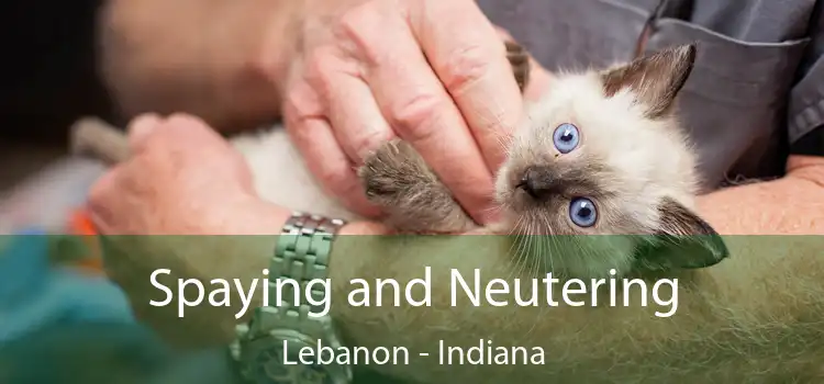 Spaying and Neutering Lebanon - Indiana