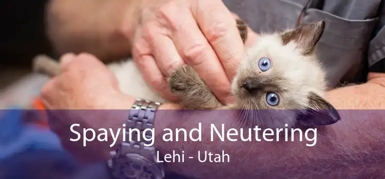 Spaying and Neutering Lehi - Utah