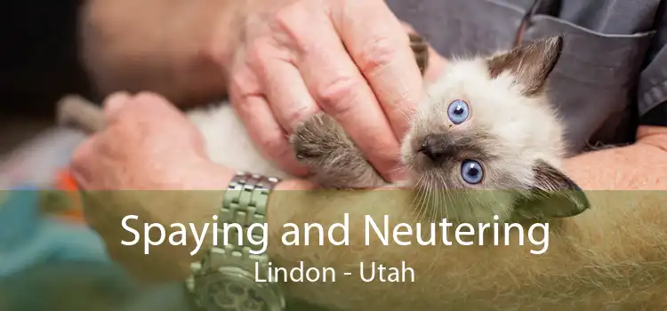 Spaying and Neutering Lindon - Utah