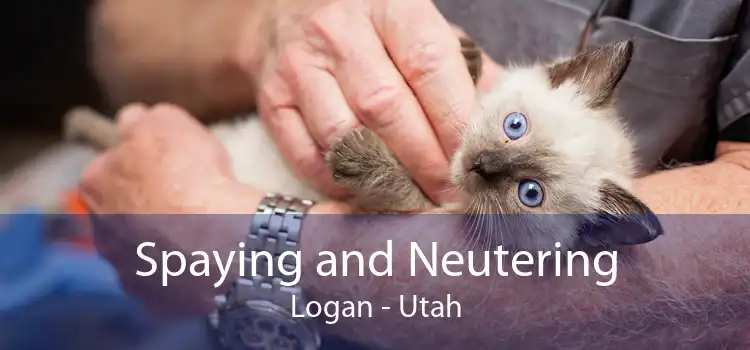 Spaying and Neutering Logan - Utah