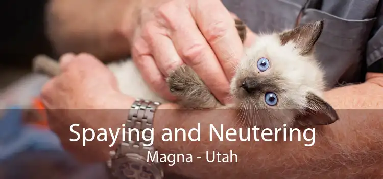 Spaying and Neutering Magna - Utah