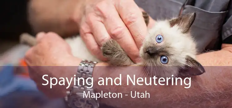 Spaying and Neutering Mapleton - Utah