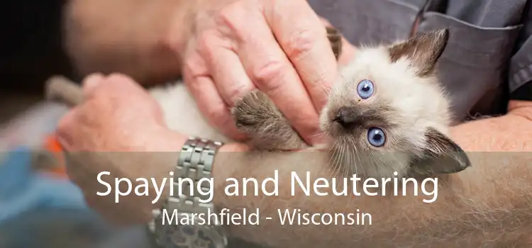 Spaying and Neutering Marshfield - Wisconsin