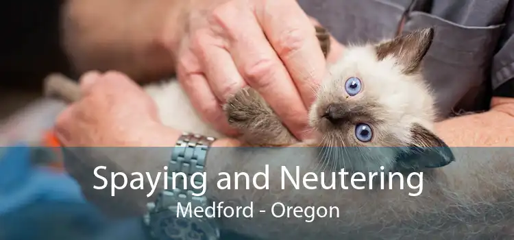 Spaying and Neutering Medford - Oregon