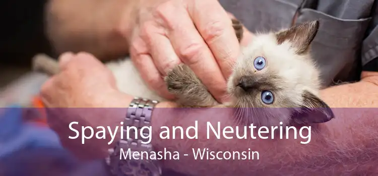 Spaying and Neutering Menasha - Wisconsin