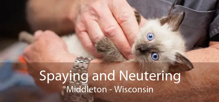 Spaying and Neutering Middleton - Wisconsin