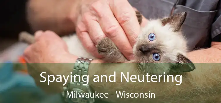 Spaying and Neutering Milwaukee - Wisconsin