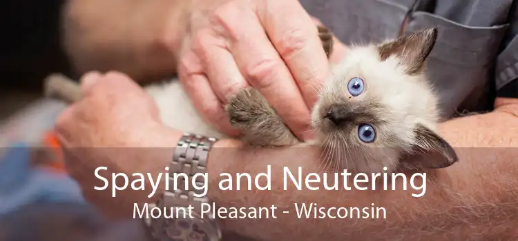 Spaying and Neutering Mount Pleasant - Wisconsin