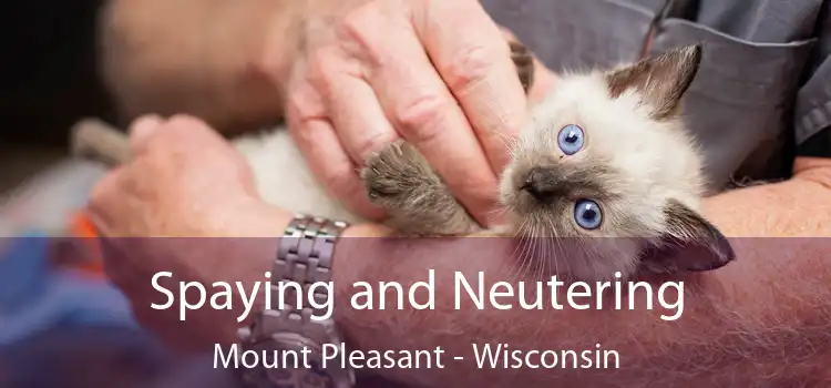Spaying and Neutering Mount Pleasant - Wisconsin