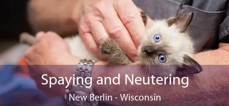 Spaying and Neutering New Berlin - Wisconsin