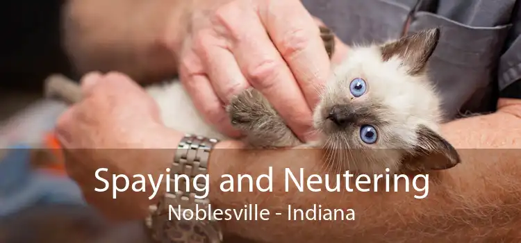 Spaying and Neutering Noblesville - Indiana