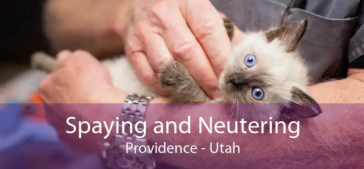 Spaying and Neutering Providence - Utah