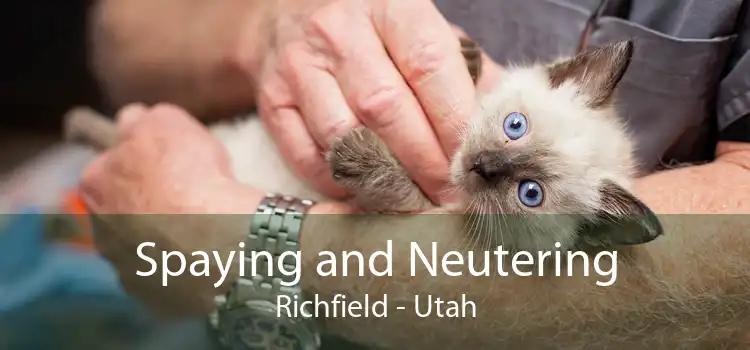 Spaying and Neutering Richfield - Utah