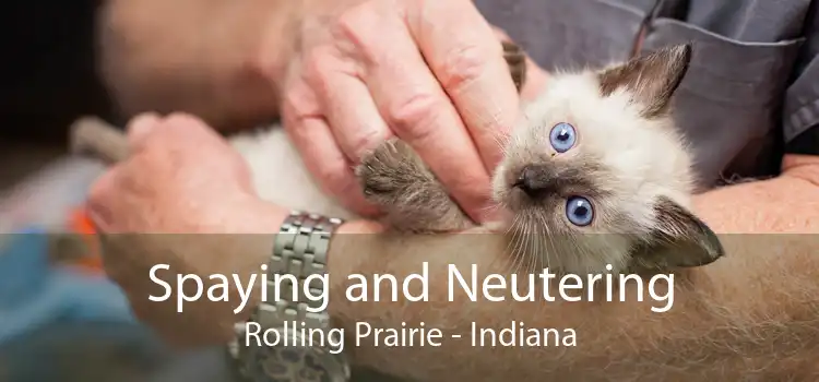 Spaying and Neutering Rolling Prairie - Indiana